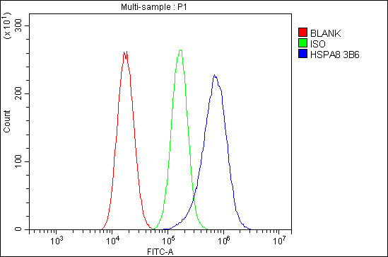 1 - Anti-Hsc70 Antibody Picoband™(monoclonal, 3B6) ABO14915