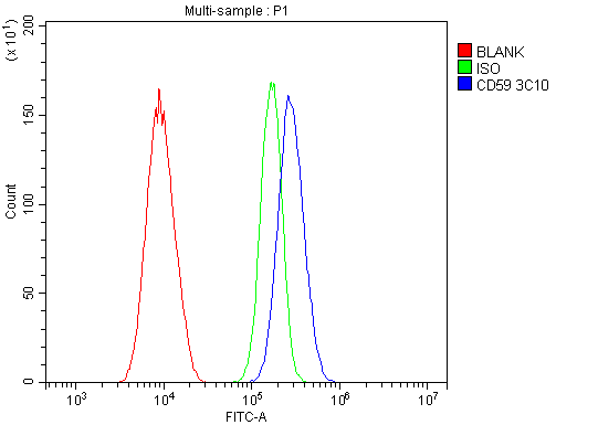 1 - Anti-CD59 Antibody Picoband™(monoclonal, 3C10) ABO14916