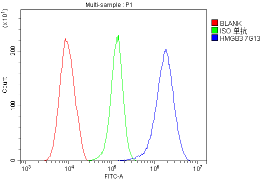 1 - Anti-HMG4 Antibody Picoband™ (monoclonal, 7G13) ABO14922