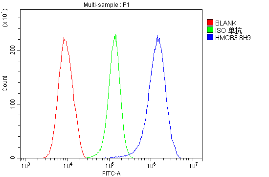 1 - Anti-HMG4 Antibody Picoband™ (monoclonal, 8H9) ABO14923