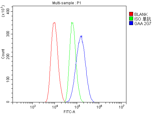1 - Anti-GAA Antibody Picoband™ (monoclonal, 2G7) ABO14926