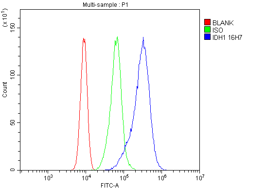 1 - Anti-IDH1 Antibody Picoband™ (monoclonal, 16H7) ABO14927