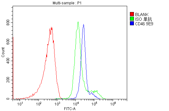 1 - Anti-CD46 Antibody Picoband™ (monoclonal, 9E9) ABO14932