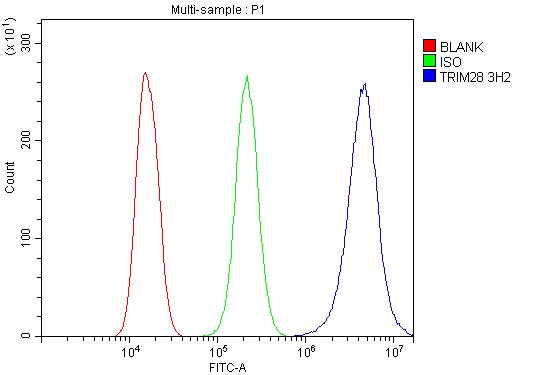 1 - Anti-KAP1/TRIM28 Antibody Picoband™ (monoclonal, 3H2) ABO14933