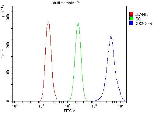 1 - Anti-DDX5 Antibody Picoband™ (monoclonal, 3F9) ABO14935