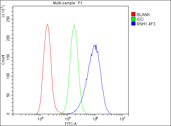 1 - Anti-Ribonuclease Inhibitor/RNH1 Antibody Picoband™ (monoclonal, 4F3) ABO14936