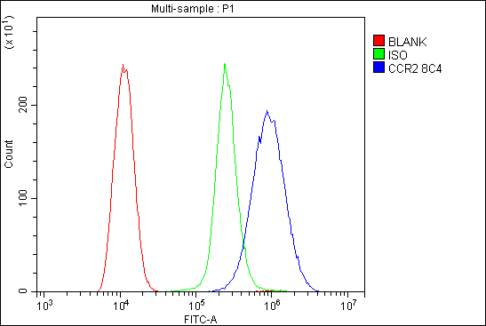 1 - Anti-CCR2 Antibody Picoband™ (monoclonal, 8C4) ABO14938