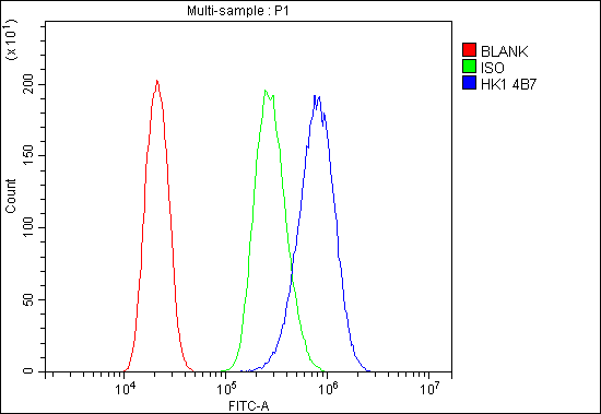 1 - Anti-Hexokinase 1/HK1 Antibody Picoband™ (monoclonal, 4B7) ABO14940
