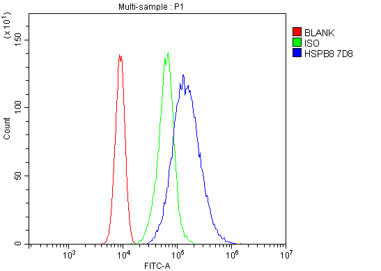 1 - Anti-HSPB8/Hsp22 Antibody Picoband™ (monoclonal, 7D8) ABO14941