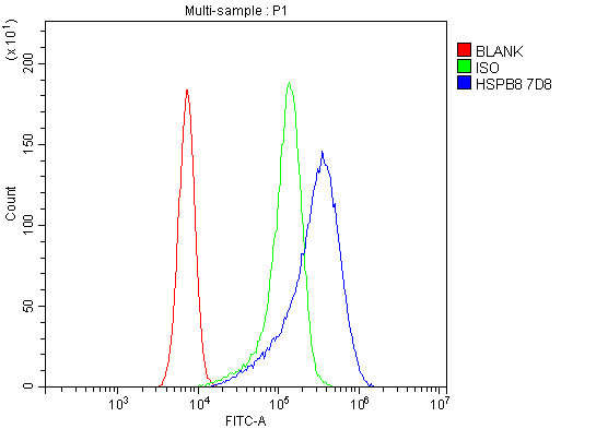 1 - Anti-HSPB8/Hsp22 Antibody Picoband™ (monoclonal, 7D8) ABO14941