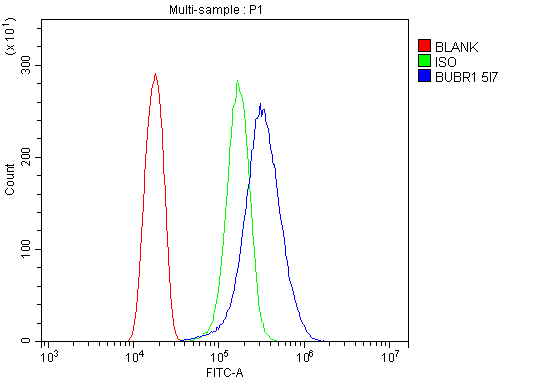 1 - Anti-BubR1/BUB1B Antibody Picoband™ (monoclonal, 5I7) ABO14942