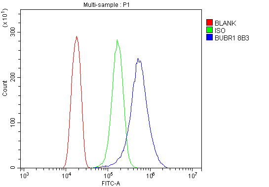 1 - Anti-BubR1/BUB1B Antibody Picoband™ (monoclonal, 8B3) ABO14943