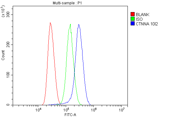 1 - Anti-alpha 1 Catenin/CTNNA1 Antibody Picoband™ (monoclonal, 10I2) ABO14947