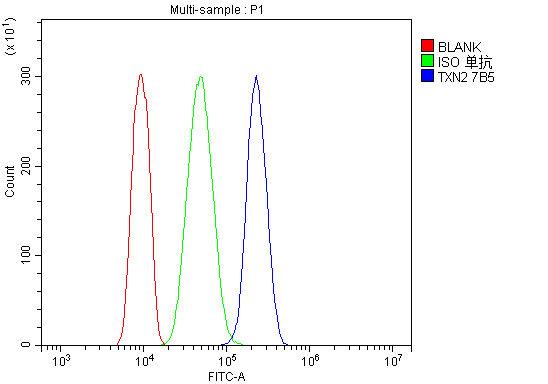 1 - Anti-Thioredoxin 2/TXN2 Antibody Picoband™ (monoclonal, 7B5) ABO14948
