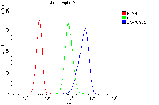 1 - Anti-ZAP70 Antibody Picoband™ (monoclonal, 9D5) ABO14951