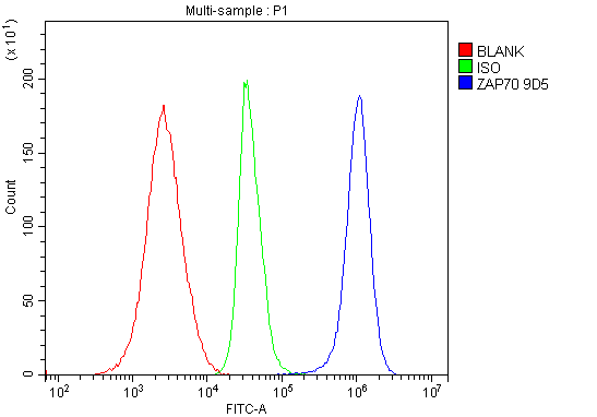 1 - Anti-ZAP70 Antibody Picoband™ (monoclonal, 9D5) ABO14951