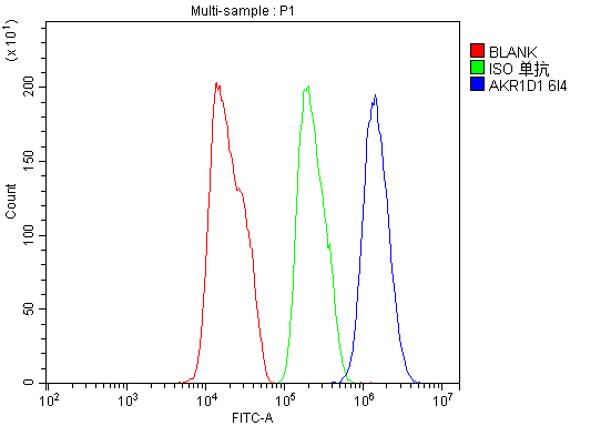 1 - Anti-AKR1D1 Antibody Picoband™ (monoclonal, 6I4) ABO14952