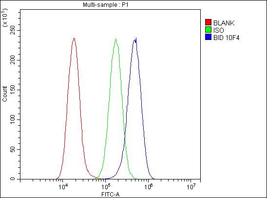 1 - Anti-Bid Antibody Picoband™ (monoclonal, 10F4) ABO14959
