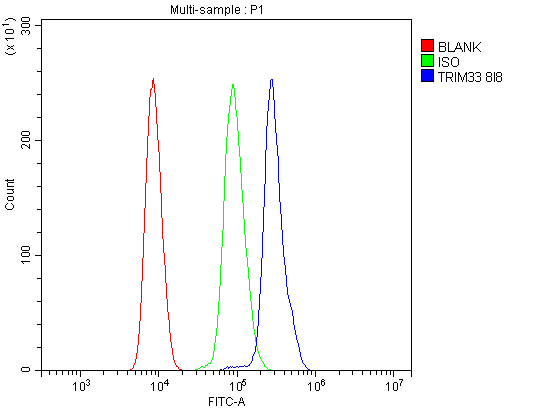 1 - Anti-TIF1 gamma/TRIM33 Antibody Picoband™ (monoclonal, 8I8) ABO14964