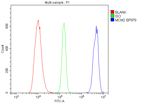 1 - Anti-MCM2 Antibody Picoband™ (monoclonal, 11C4) ABO14965