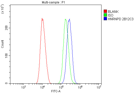 1 - Anti-hnRNP D/AUF1/HNRNPD Antibody Picoband™ (monoclonal, 2B12) ABO14968