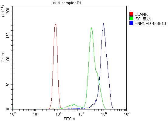 1 - Anti-hnRNP D/AUF1/HNRNPD Antibody Picoband™ (monoclonal, 4F3) ABO14969