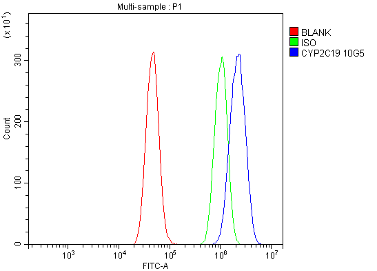 1 - Anti-Cytochrome p450 2C19/CYP2C19 Antibody Picoband™ (monoclonal, 10G5) ABO14972