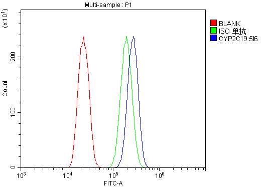 1 - Anti-Cytochrome p450 2C19/CYP2C19 Antibody Picoband™ (monoclonal, 10G5) ABO14972