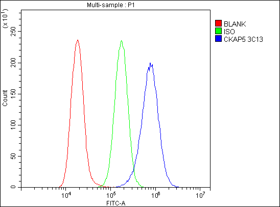 1 - Anti-ch TOG/CKAP5 Antibody Picoband™ (monoclonal, 3C13) ABO14974