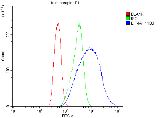 3 - Anti-EIF4A1 Antibody Picoband™ (monoclonal, 11B8) ABO14981
