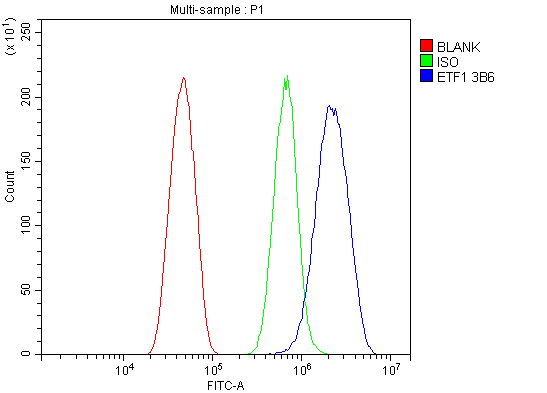 1 - Anti-eRF1/ETF1 Antibody Picoband™ (monoclonal, 3B6) ABO14986