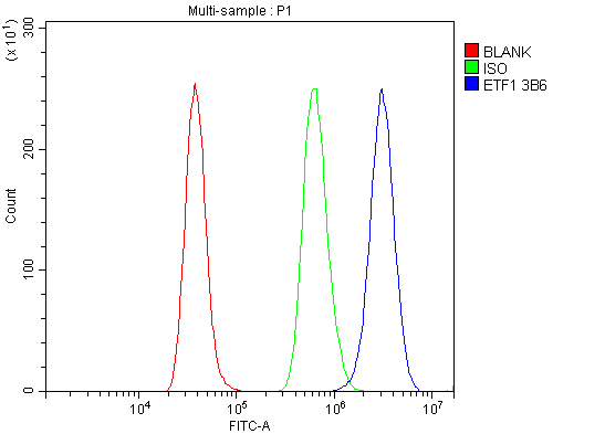 1 - Anti-eRF1/ETF1 Antibody Picoband™ (monoclonal, 3B6) ABO14986