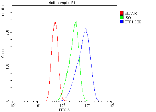 1 - Anti-eRF1/ETF1 Antibody Picoband™ (monoclonal, 3B6) ABO14986