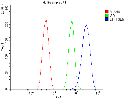 1 - Anti-eRF1/ETF1 Antibody Picoband™ (monoclonal, 3E5) ABO14987
