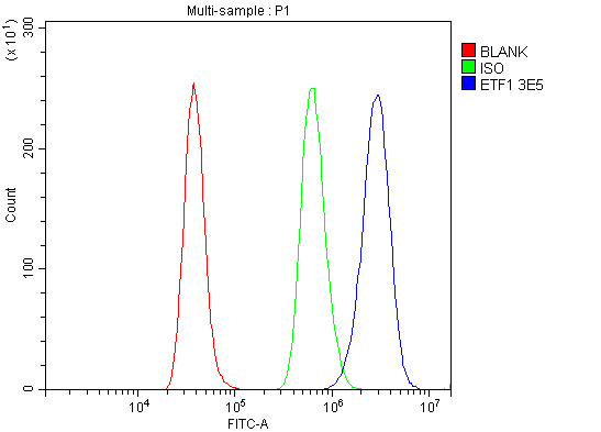 1 - Anti-eRF1/ETF1 Antibody Picoband™ (monoclonal, 3E5) ABO14987