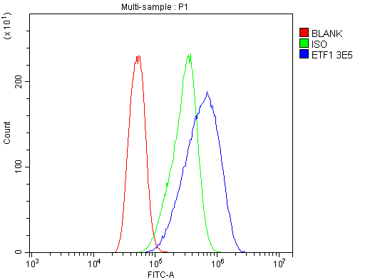 1 - Anti-eRF1/ETF1 Antibody Picoband™ (monoclonal, 3E5) ABO14987