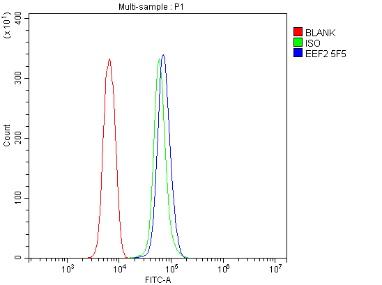 1 - Anti-EEF2 Picoband™ Antibody (monoclonal, 5F5) ABO14989