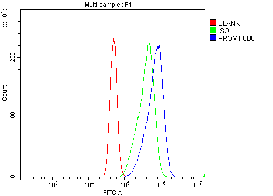 1 - Anti-PROM1/CD133 Antibody Picoband™ (monoclonal, 8B6) ABO14991