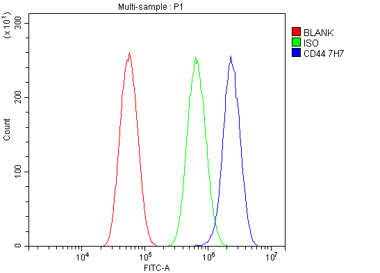 1 - Anti-CD44 Picoband™ Antibody (monoclonal, 7H7) ABO14996