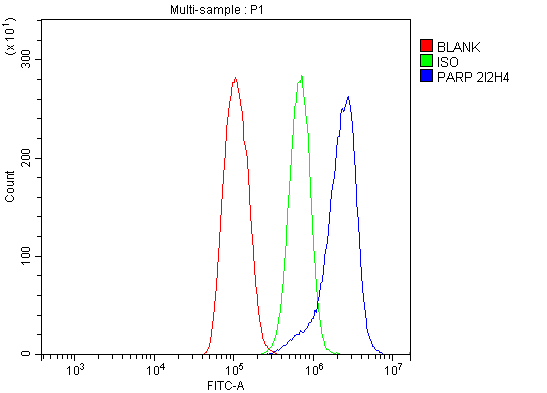 1 - Anti-PARP/PARP1 Picoband™ Antibody (monoclonal, 2I2H4) ABO14997