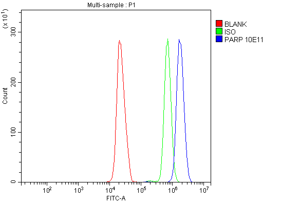1 - Anti-PARP/PARP1 Picoband™ Antibody (monoclonal, 10E11) ABO14998