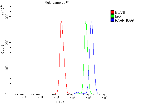 1 - Anti-PARP/PARP1 Picoband™ Antibody (monoclonal, 10G9) ABO14999