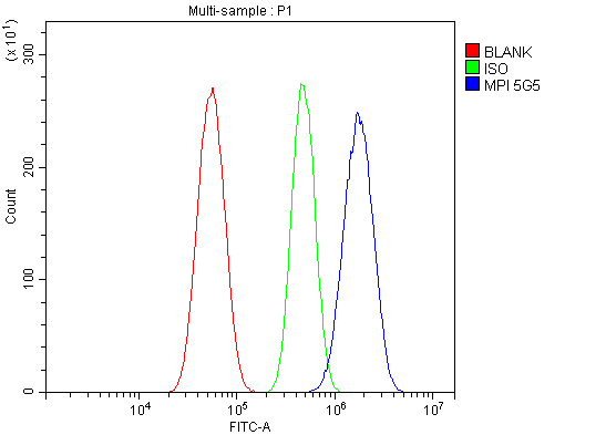 1 - Anti-MPI Picoband™ Antibody (monoclonal, 5G5) ABO15000