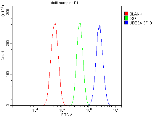 1 - Anti-UBE3A Picoband™ Antibody (monoclonal, 3F13) ABO15001