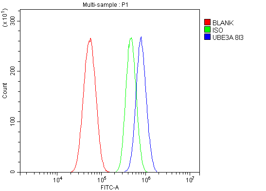 1 - Anti-UBE3A Picoband™ Antibody (monoclonal, 8I3) ABO15002