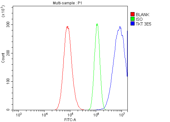 1 - Anti-Transketolase/TKT Picoband™ Antibody (monoclonal, 3E5) ABO15005