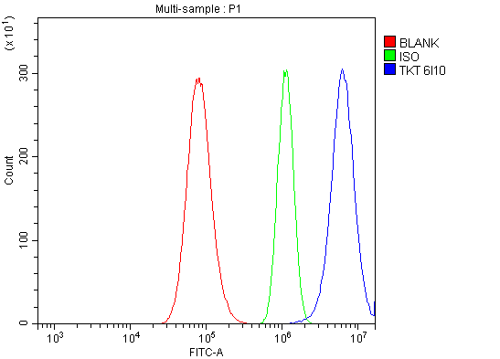 1 - Anti-Transketolase/TKT Picoband™ Antibody (monoclonal, 2I3) ABO15006