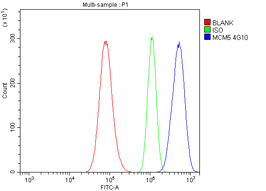 1 - Anti-MCM5 Picoband™ Antibody (monoclonal, 4G10) ABO15010