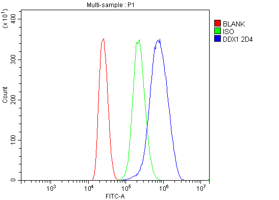 1 - Anti-DDX1 Picoband™ Antibody (monoclonal, 2D4) ABO15012