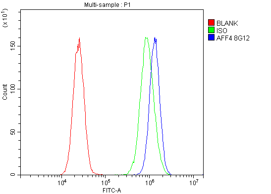 1 - Anti-AFF4 Picoband™ Antibody (monoclonal, 8G12) ABO15014